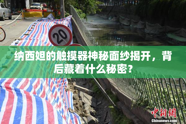 纳西妲的触摸器神秘面纱揭开，背后藏着什么秘密？