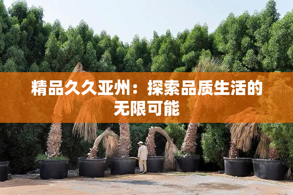 精品久久亚州：探索品质生活的无限可能