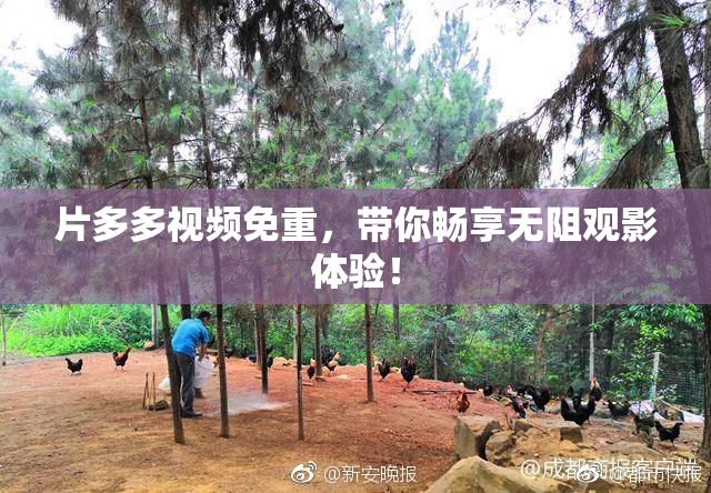 片多多视频免重，带你畅享无阻观影体验！