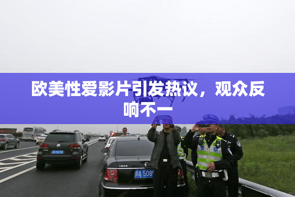 欧美性爱影片引发热议，观众反响不一