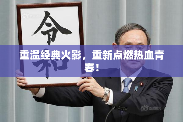 重温经典火影，重新点燃热血青春！
