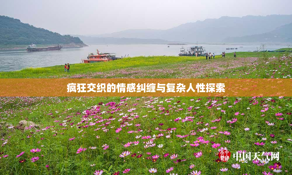 疯狂交织的情感纠缠与复杂人性探索