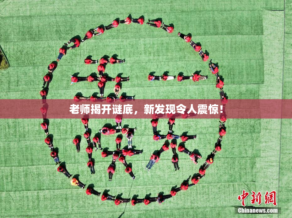 老师揭开谜底，新发现令人震惊！