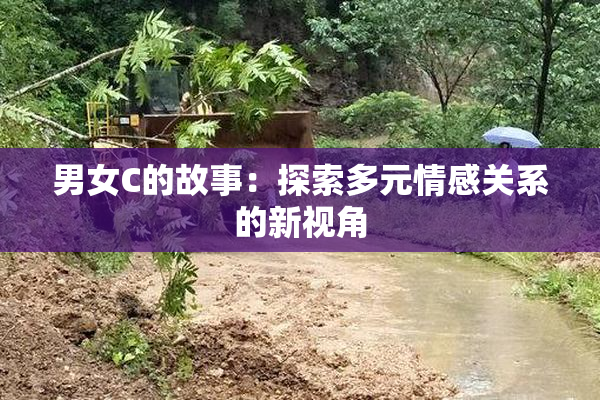 男女C的故事：探索多元情感关系的新视角