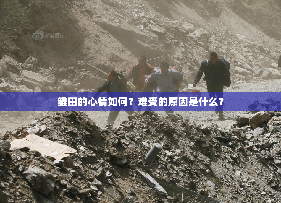 雏田的心情如何？难受的原因是什么？