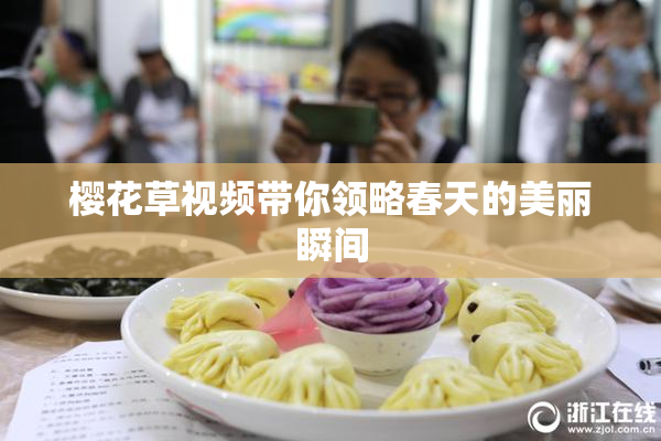 樱花草视频带你领略春天的美丽瞬间
