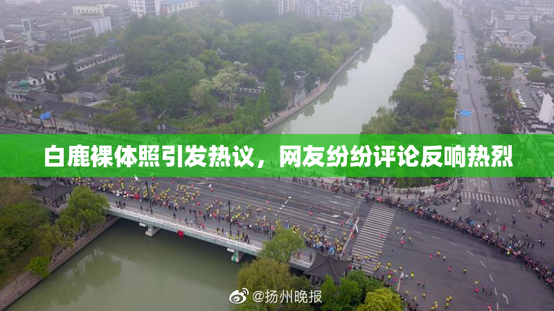 白鹿裸体照引发热议，网友纷纷评论反响热烈