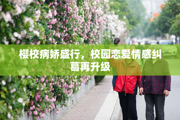 樱校病娇盛行，校园恋爱情感纠葛再升级