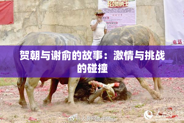 贺朝与谢俞的故事：激情与挑战的碰撞