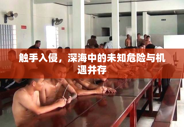 触手入侵，深海中的未知危险与机遇并存
