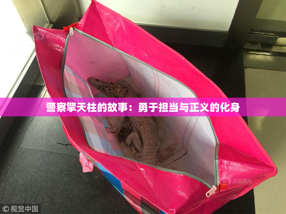 警察擎天柱的故事：勇于担当与正义的化身