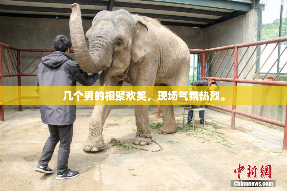 几个男的相聚欢笑，现场气氛热烈。