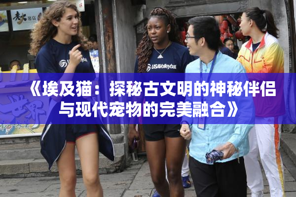 《埃及猫：探秘古文明的神秘伴侣与现代宠物的完美融合》