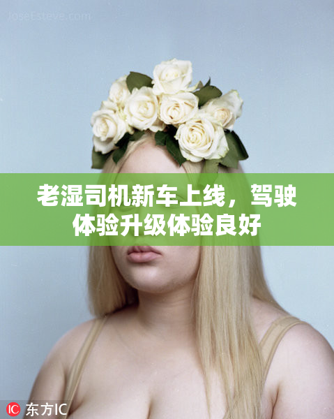 老湿司机新车上线，驾驶体验升级体验良好