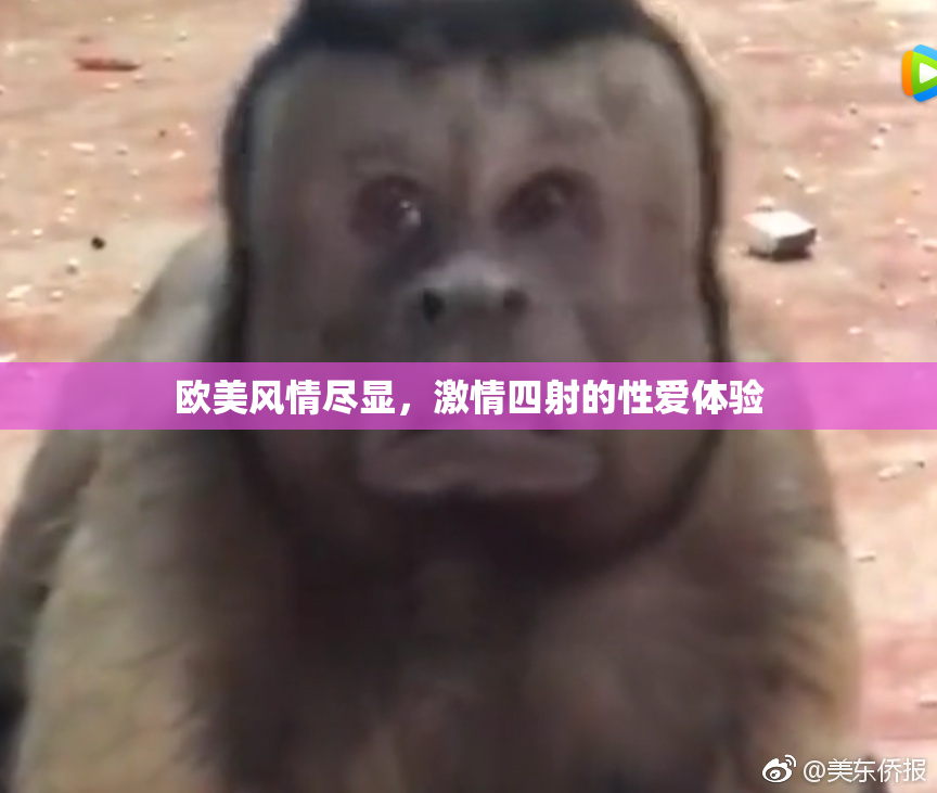 欧美风情尽显，激情四射的性爱体验