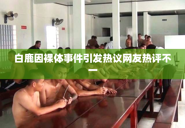 白鹿因裸体事件引发热议网友热评不一