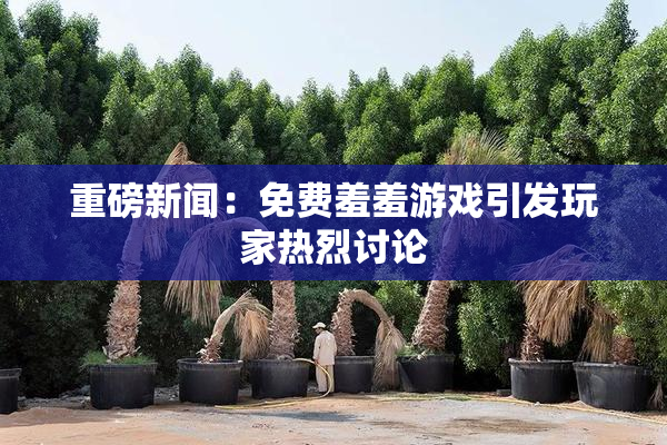 重磅新闻：免费羞羞游戏引发玩家热烈讨论
