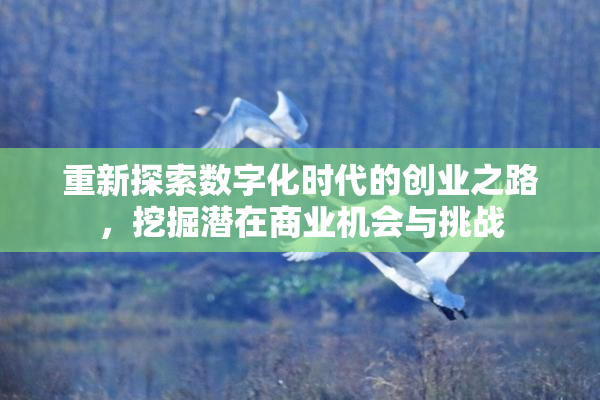 重新探索数字化时代的创业之路，挖掘潜在商业机会与挑战