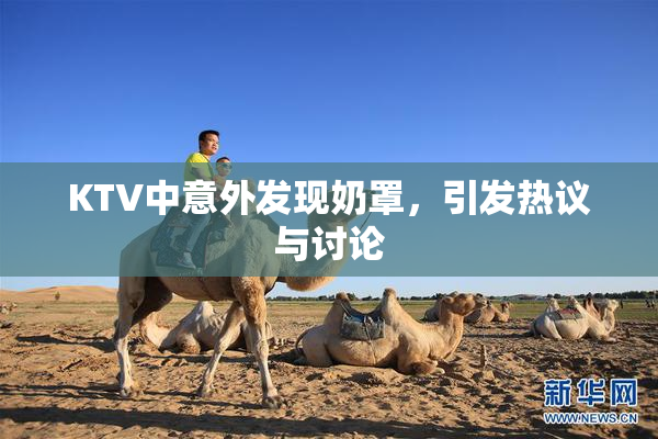 KTV中意外发现奶罩，引发热议与讨论