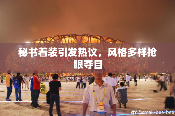 秘书着装引发热议，风格多样抢眼夺目