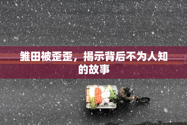 雏田被歪歪，揭示背后不为人知的故事