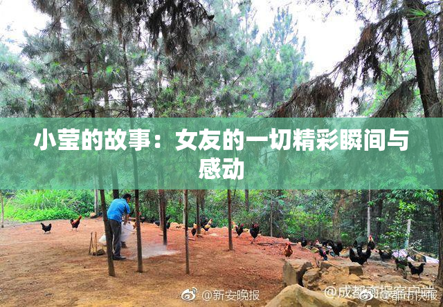小莹的故事：女友的一切精彩瞬间与感动
