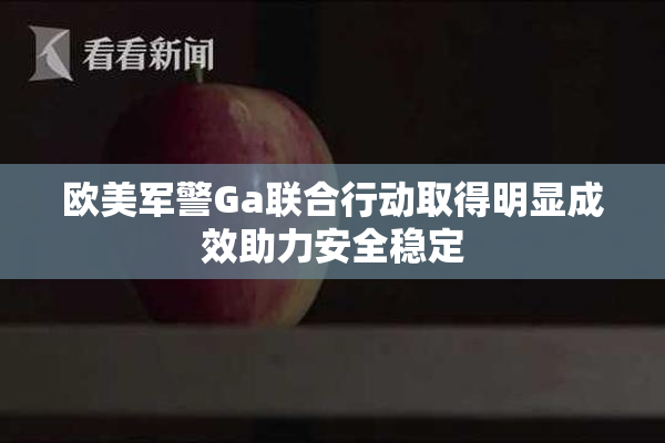 欧美军警Ga联合行动取得明显成效助力安全稳定