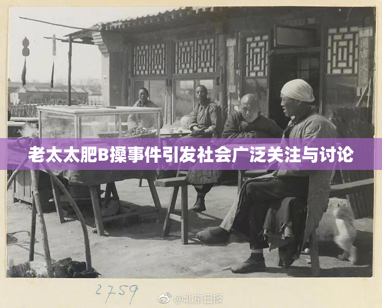 老太太肥B搡事件引发社会广泛关注与讨论