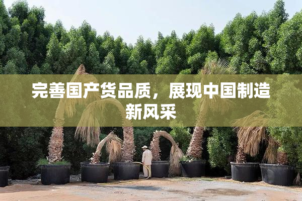 完善国产货品质，展现中国制造新风采