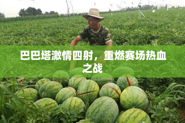 巴巴塔激情四射，重燃赛场热血之战