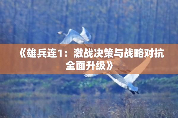 《雄兵连1：激战决策与战略对抗全面升级》