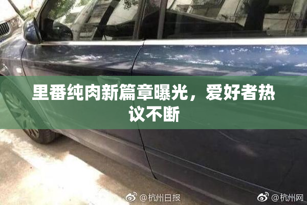 里番纯肉新篇章曝光，爱好者热议不断