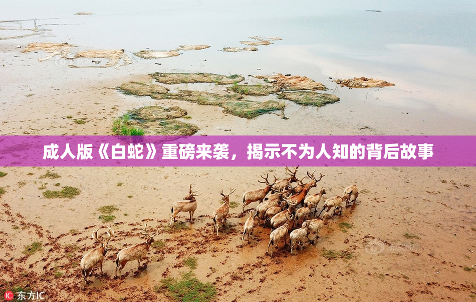 成人版《白蛇》重磅来袭，揭示不为人知的背后故事