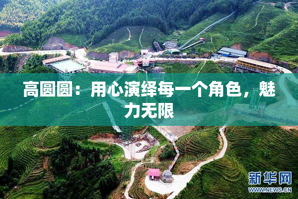 高圆圆：用心演绎每一个角色，魅力无限