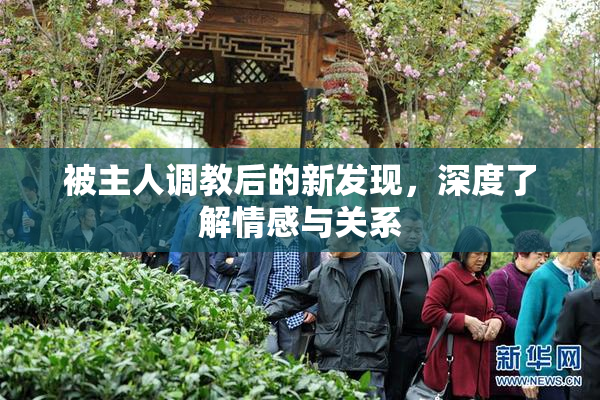 被主人调教后的新发现，深度了解情感与关系