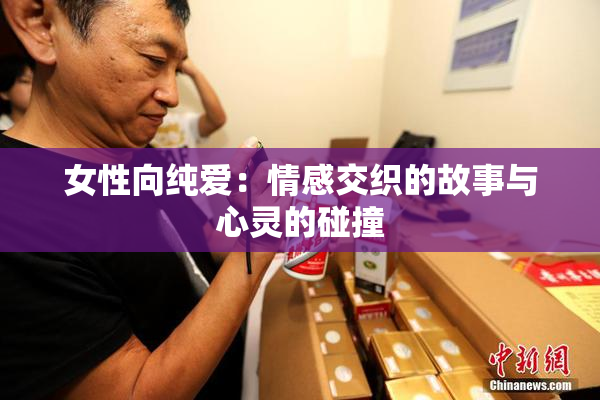 女性向纯爱：情感交织的故事与心灵的碰撞