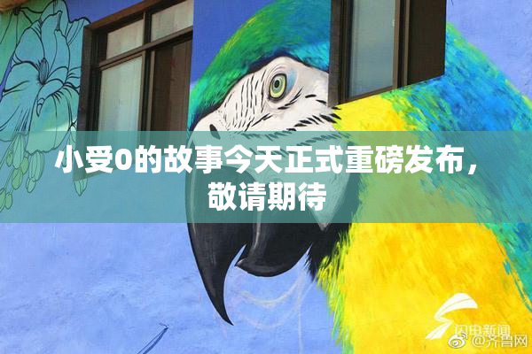 小受0的故事今天正式重磅发布，敬请期待