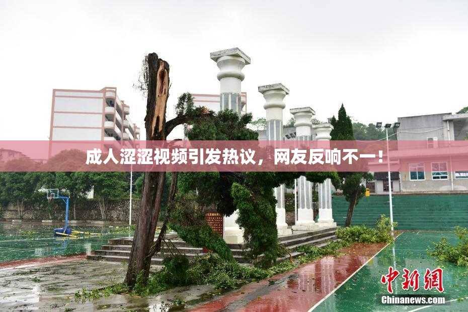 成人涩涩视频引发热议，网友反响不一！