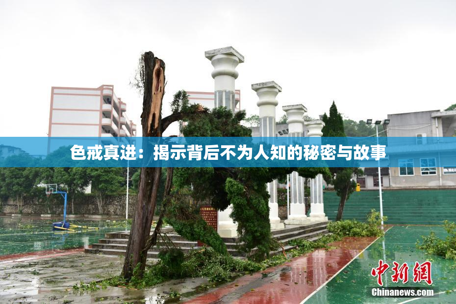 色戒真进：揭示背后不为人知的秘密与故事