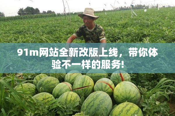 91m网站全新改版上线，带你体验不一样的服务!
