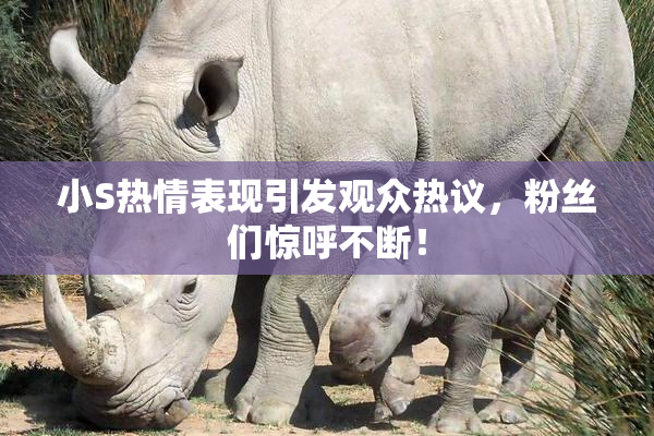 小S热情表现引发观众热议，粉丝们惊呼不断！