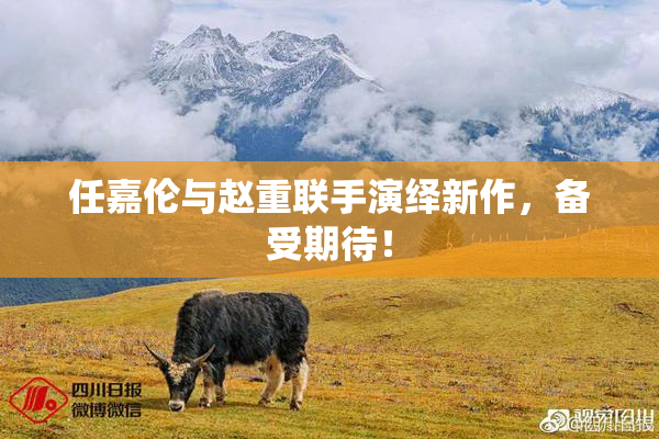 任嘉伦与赵重联手演绎新作，备受期待！