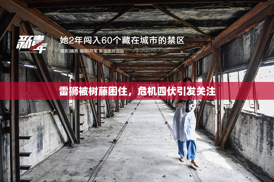 雷狮被树藤困住，危机四伏引发关注