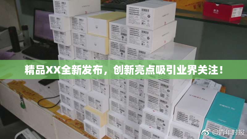 精品XX全新发布，创新亮点吸引业界关注！