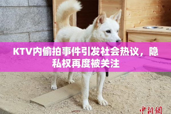 KTV内偷拍事件引发社会热议，隐私权再度被关注