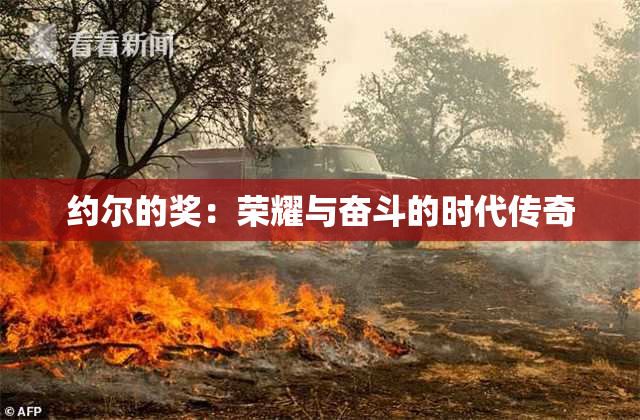 约尔的奖：荣耀与奋斗的时代传奇