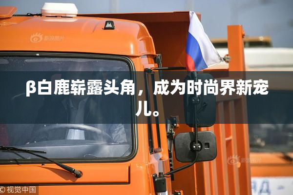 β白鹿崭露头角，成为时尚界新宠儿。