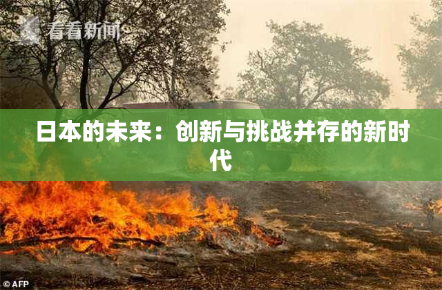 日本的未来：创新与挑战并存的新时代