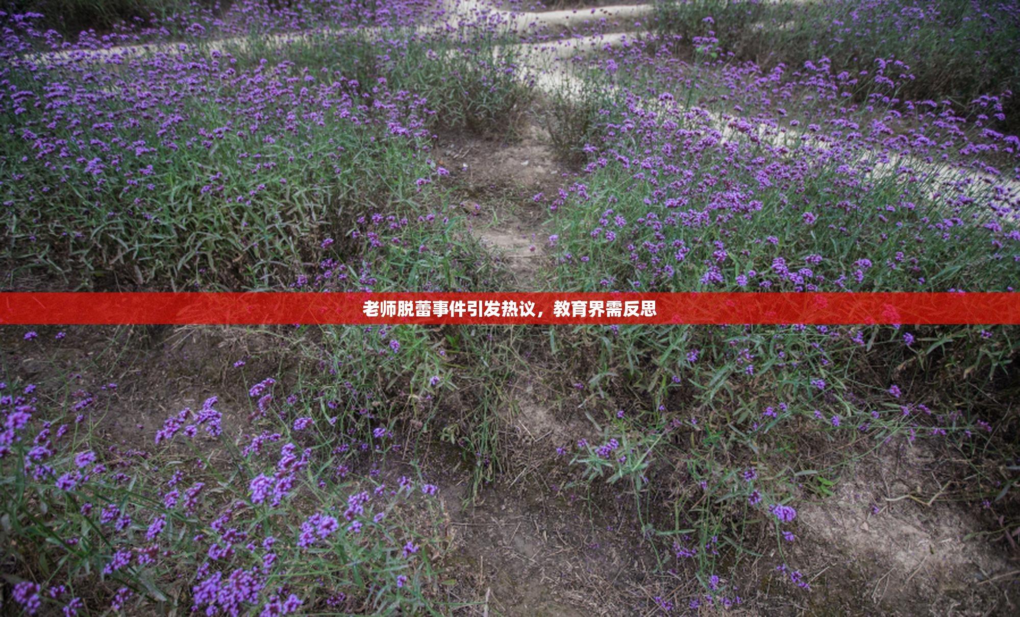 老师脱蕾事件引发热议，教育界需反思