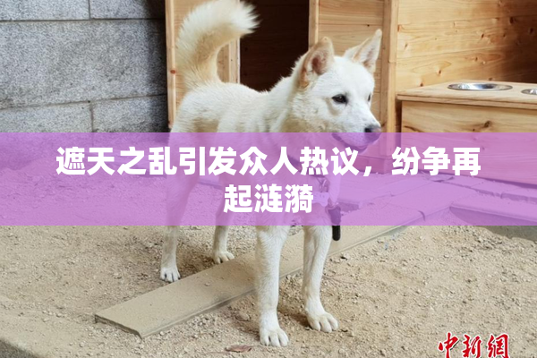遮天之乱引发众人热议，纷争再起涟漪